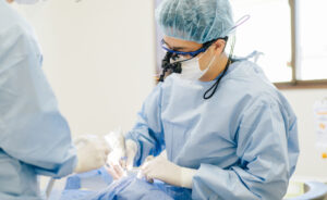 東京の根管治療専門外来、笠原デンタルオフィスで、「マイクロスコープがある＝精密治療」は間違い？拡大鏡との違いを専門医が解説